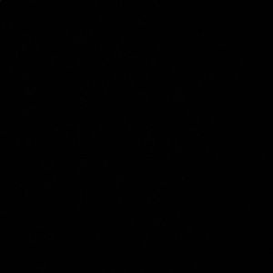 Meet your Posher, Paylei